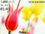 game pic for Cute tulip flower  by venky